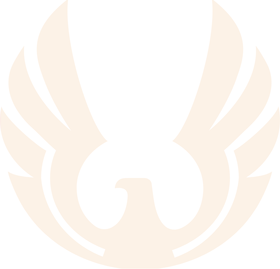Careers-dronecloud logo light image